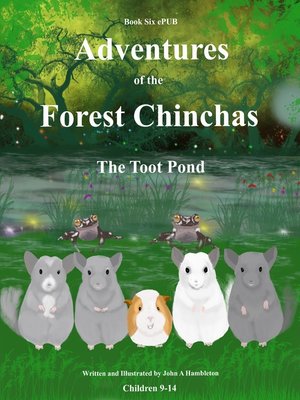 cover image of The Toot Pond